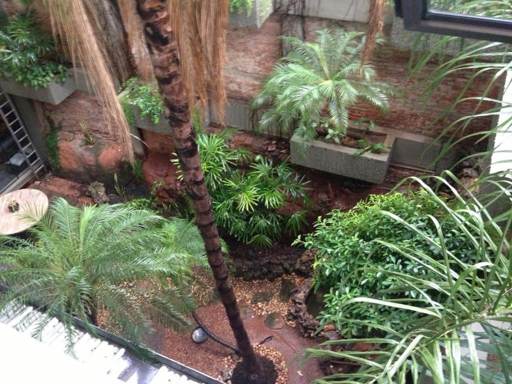 אסונסיון Aspen Hotel & Apart מראה חיצוני תמונה